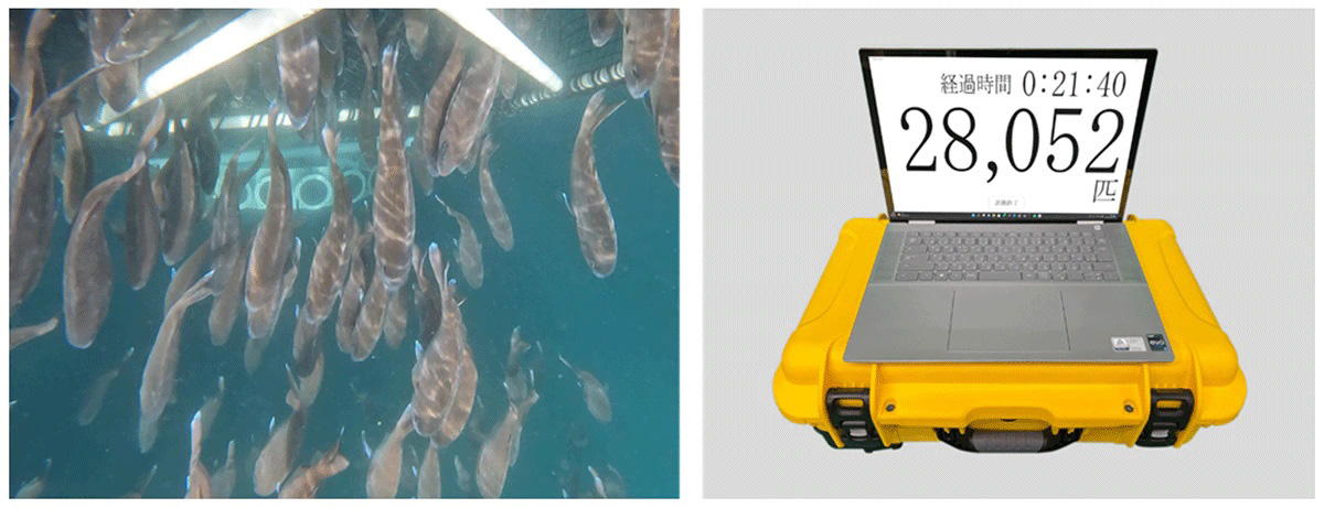 【中古】海水魚?水産増養殖システム〈1〉 (水産増養殖システム 1) 海水魚?水産増養殖システム〈1〉 (水産増養殖システム 1) 【公式通販】
