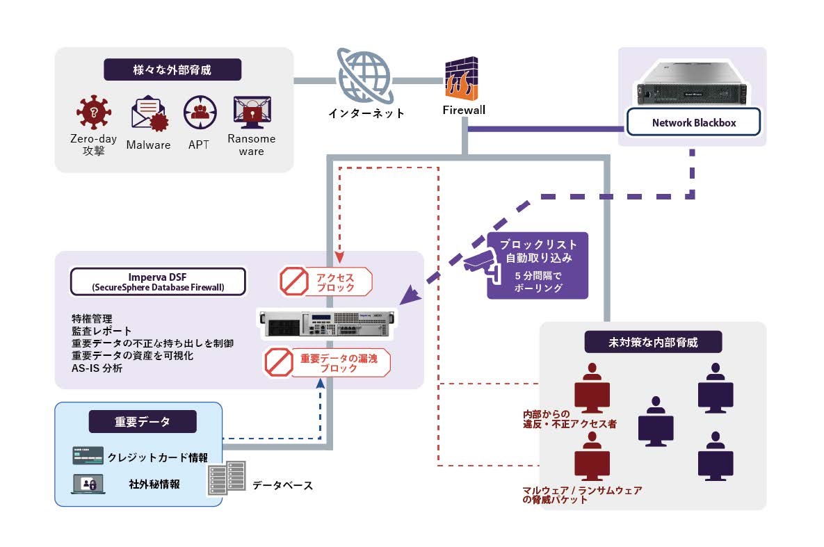 完璧主義 フーバーブレイン、ネットワーク層とアプリケーション層の脅威 マジック：ザ・ギャザリング